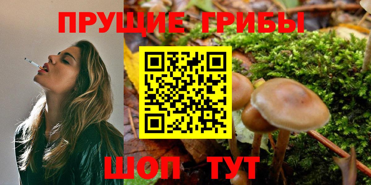 Дубна  Галлюциногенные грибы MAGIC MUSHROOMS  Галлюциногенные грибы Cubensis  Вход с VPN 