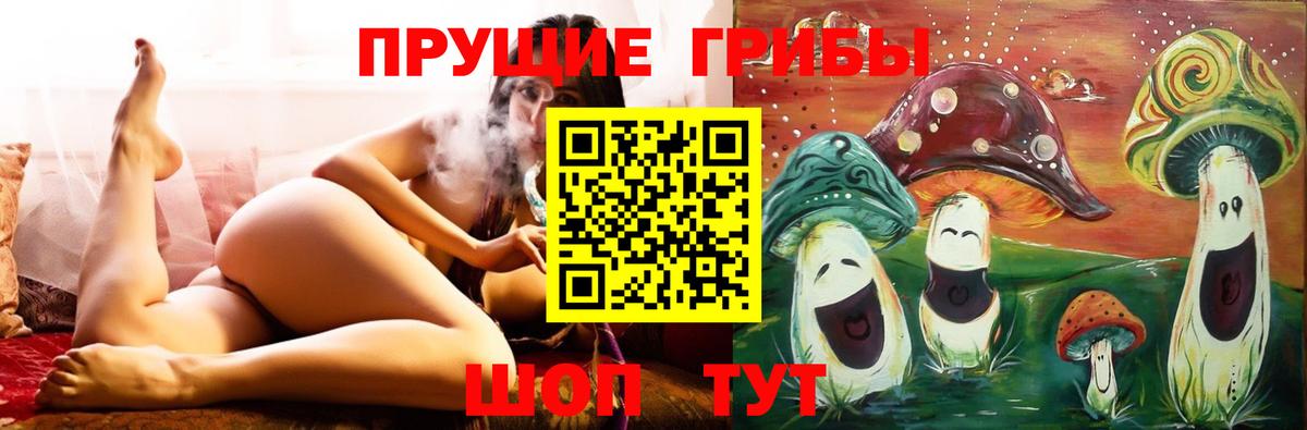 Псилоцибиновые грибы Psilocybine cubensis Дубна